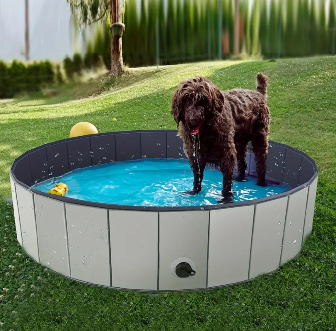 Piscine pliable pour chien | Piscine portable pour chien