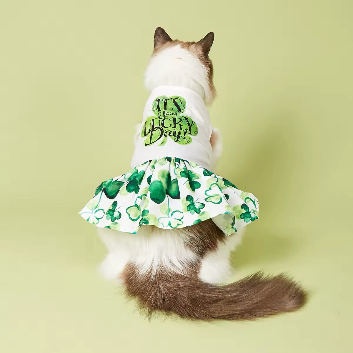 Robe « C'est votre jour de chance » – Robe pour chien de la Saint-Patrick