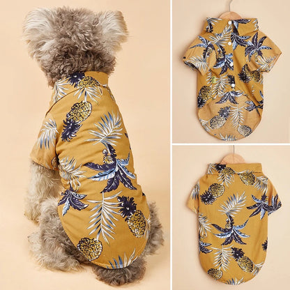 Chemise Derek