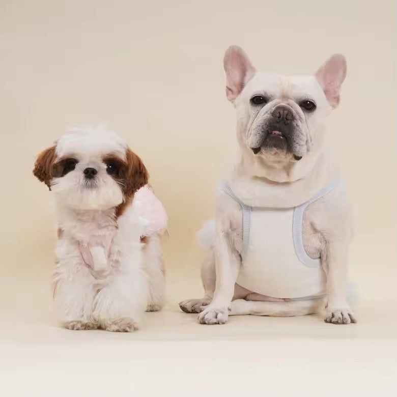 Robe pour Chienne Tina – Robe Élégante en Tulle pour Chienne