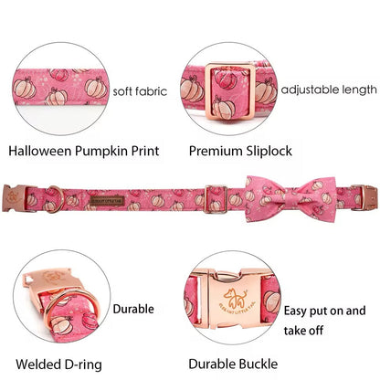 Collier pour chien citrouille | Collier d'Halloween pour chien