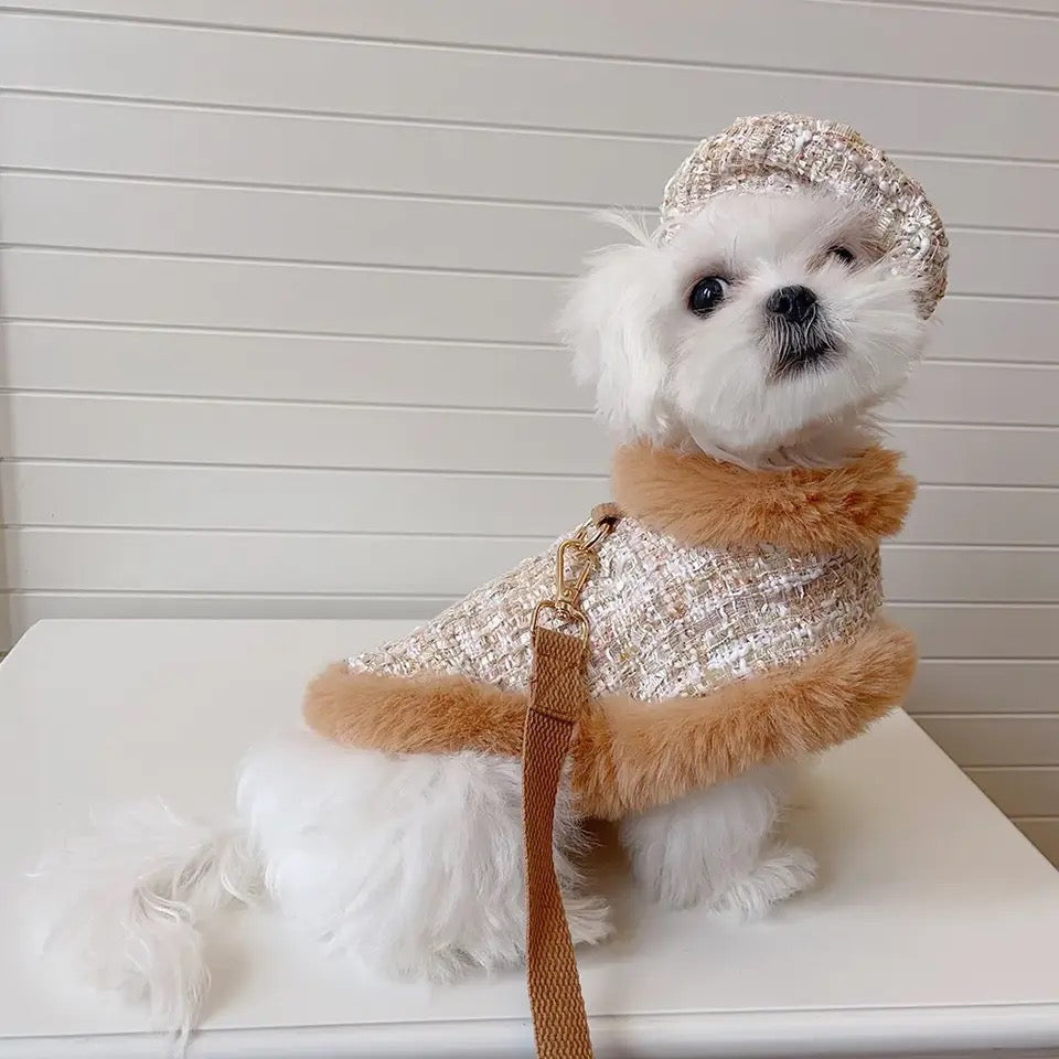 Ensemble Harnais, Chapeau et Laisse pour chien | Ensemble de promenade pour chien en tweed cappuccino