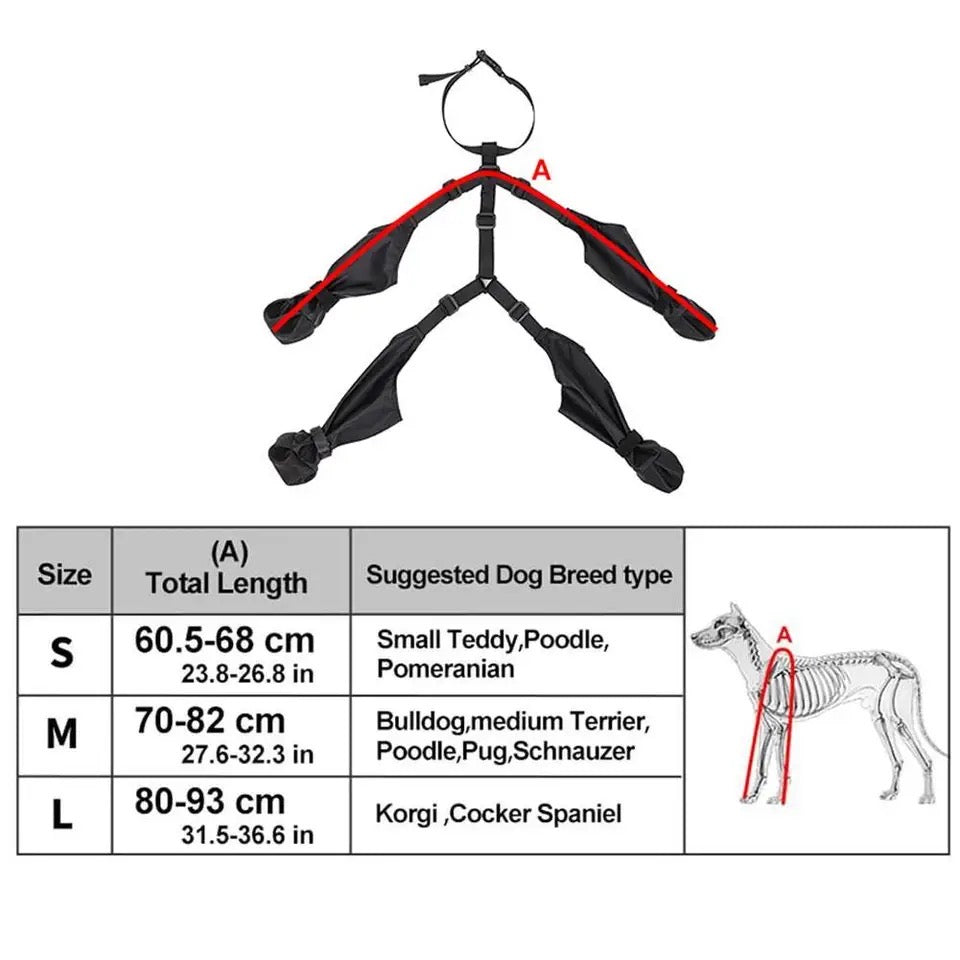 Bottes pour chiens | Bottes de protection des pattes pour chiens