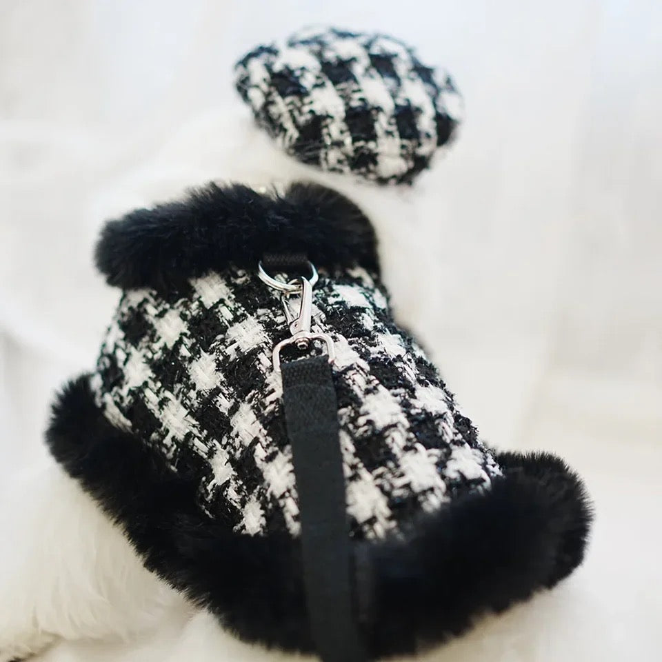 Ensemble Harnais, Chapeau et Laisse Grand Maître Tweed pour Chien
