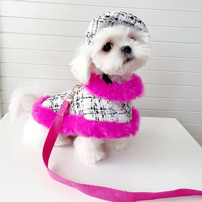Ensemble Harnais Ultra Violet | Harnais, laisse et chapeau pour chien