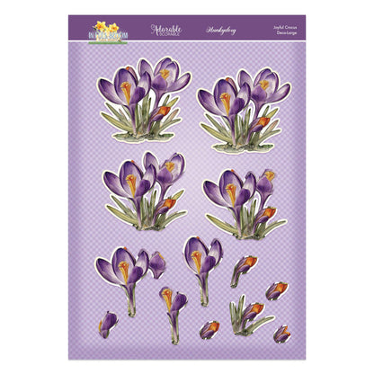 En pleine floraison - Set Deco-Large Douceurs Florales - Crocus Joyeux