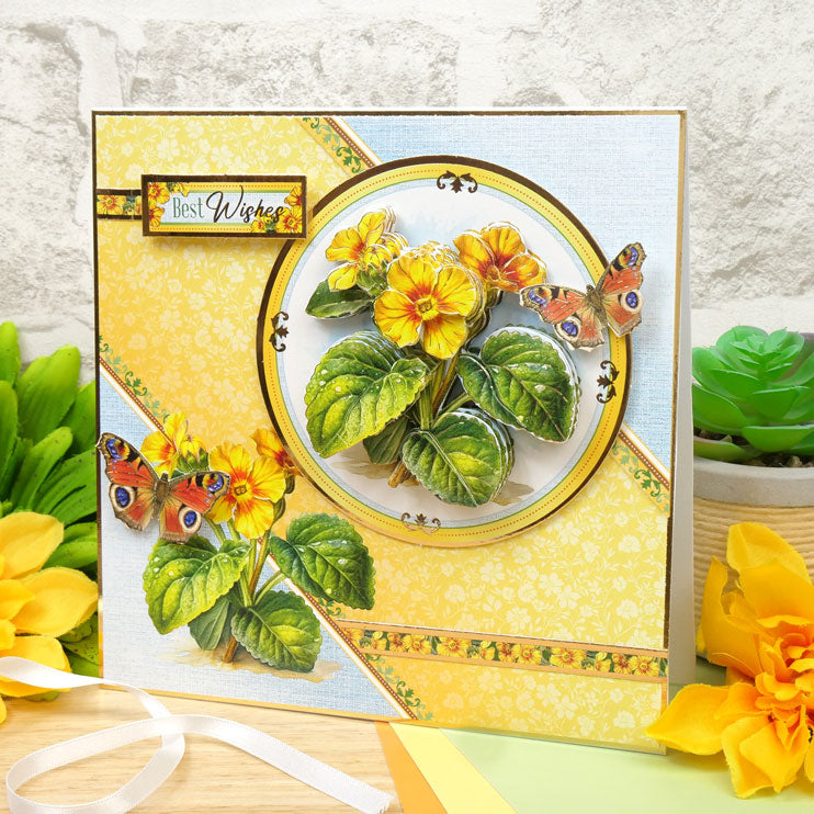 En pleine floraison - Set de décoration florale Deco-Large - Primevère Parfaite