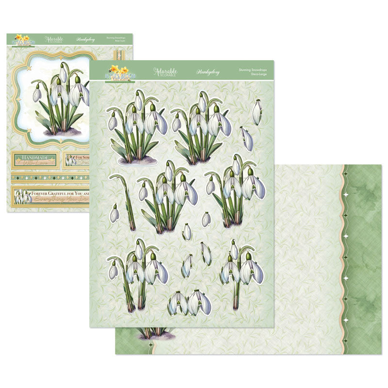En Pleine Fleur – Set Déco-Large Douceurs Florales – Magnifiques Perce-neige