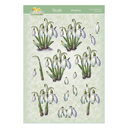 En Pleine Fleur – Set Déco-Large Douceurs Florales – Magnifiques Perce-neige
