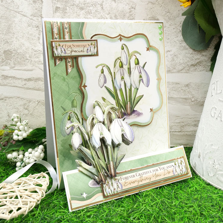 En Pleine Fleur – Set Déco-Large Douceurs Florales – Magnifiques Perce-neige