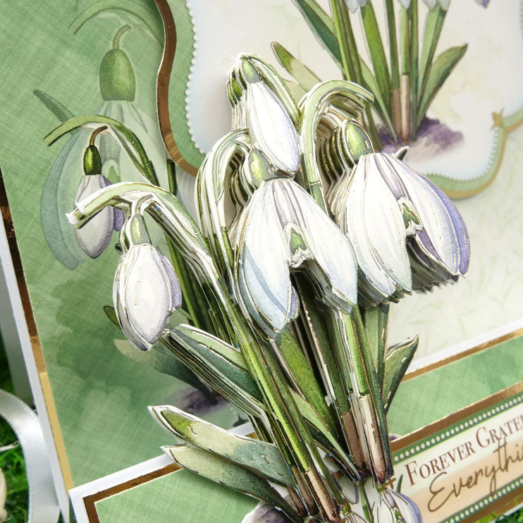 En Pleine Fleur – Set Déco-Large Douceurs Florales – Magnifiques Perce-neige