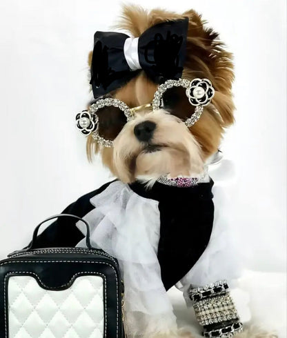 Coco Chewnel Rhinestone Dog Sunglasses | Fashion Pet Eyewear