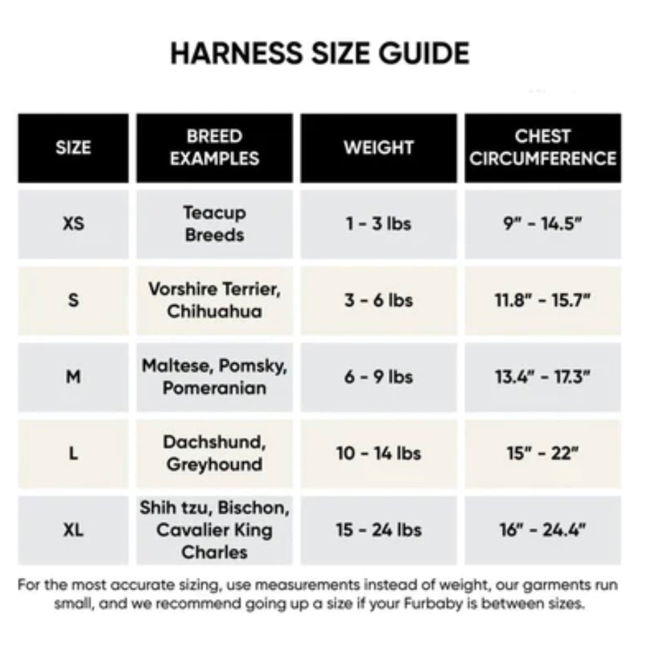 Ensemble Harnais et Laisse Classiques pour Chien Furendi | Essentiels pour les promenades quotidiennes