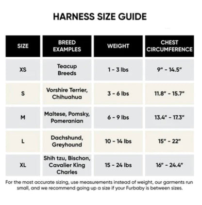 Ensemble Harnais et Laisse Classiques pour Chien Furendi | Essentiels pour les promenades quotidiennes