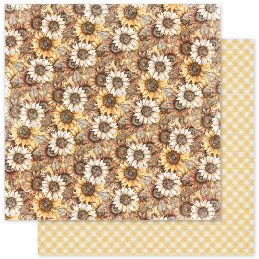 Collection de papiers Golden Days Basics 6x6 35311