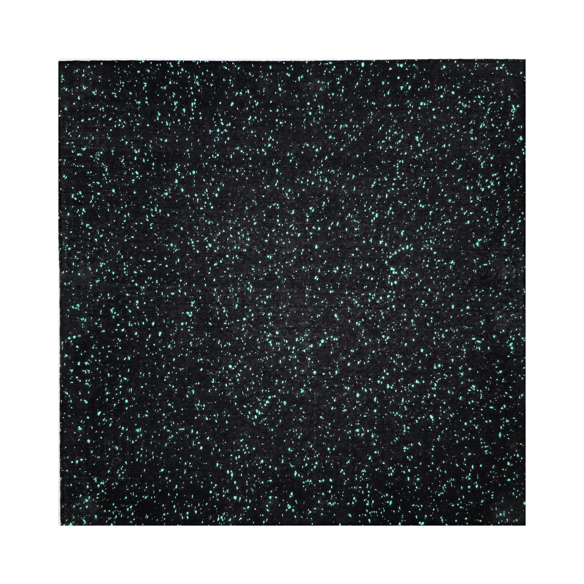 HAJEX Tapis de Sol Durs pour Salle de Sport - Lot de 6