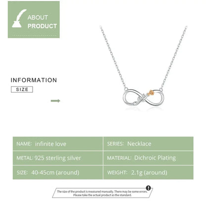 Rose Délicate : Ras-de-cou en Argent Sterling avec Motif Infini