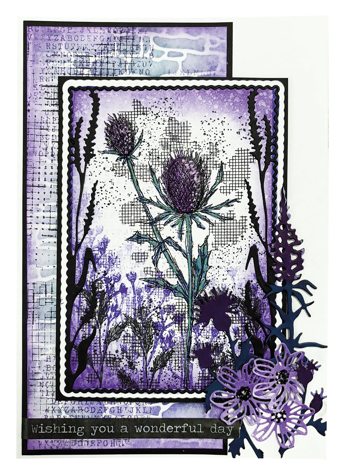HE Tampon transparent Botanicals Nature's Dream 2 - 4 pièces