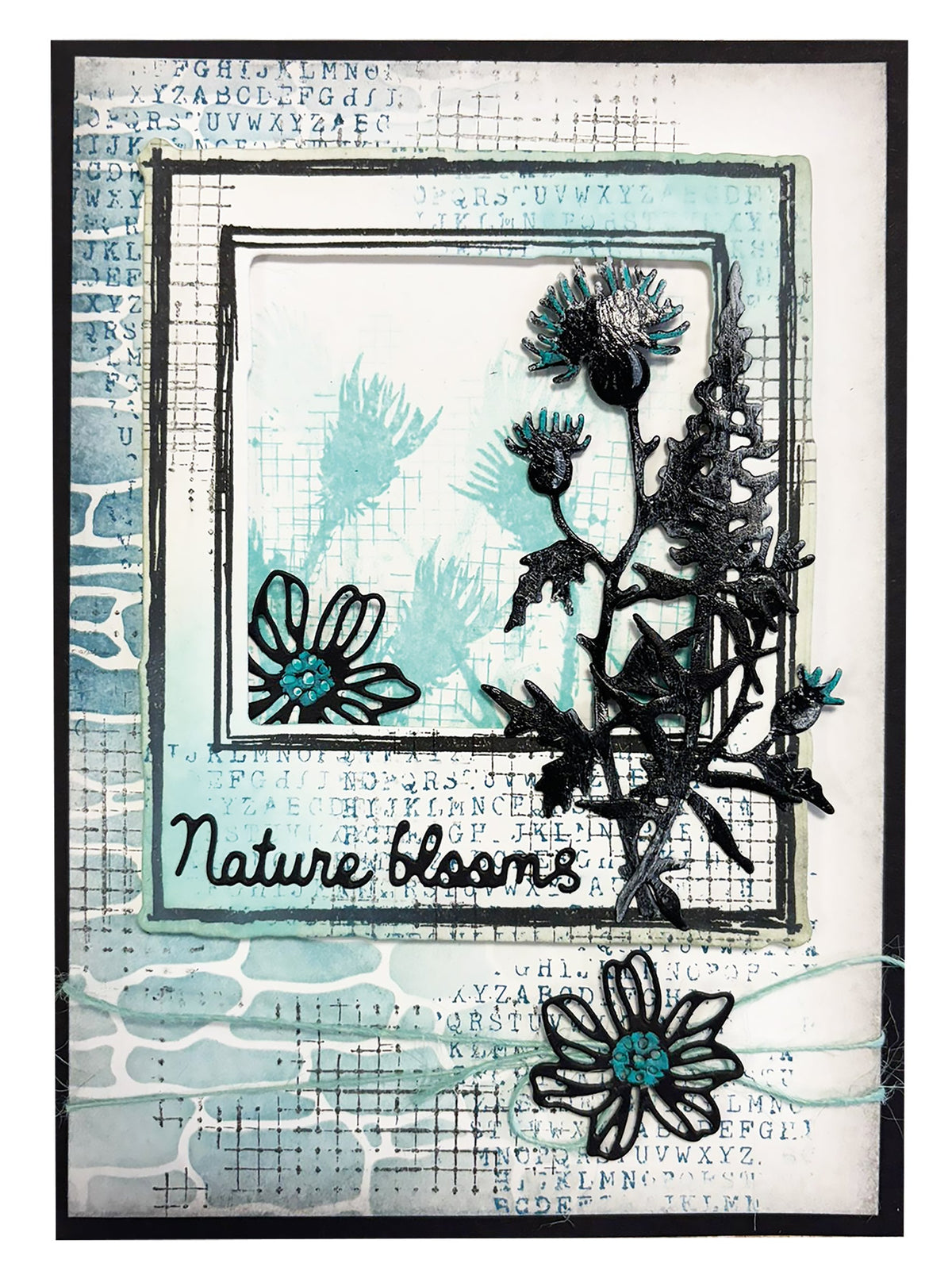 HE Tampon transparent Botanicals Nature's Dream 2 - 4 pièces