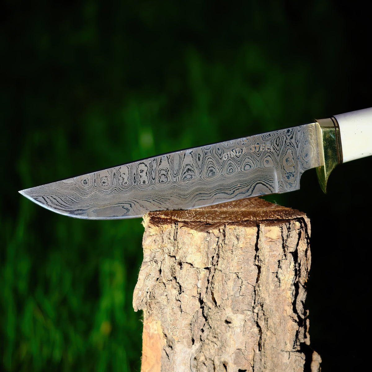 Haruto Bowie Knife - Camel Bone Handle 7.5 inch with leather Sheath