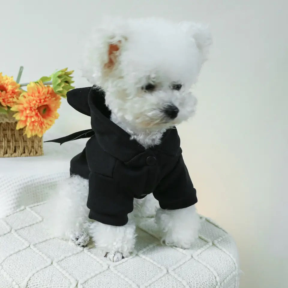 Costume d'Halloween BatDog | Sweat à capuche pour chien