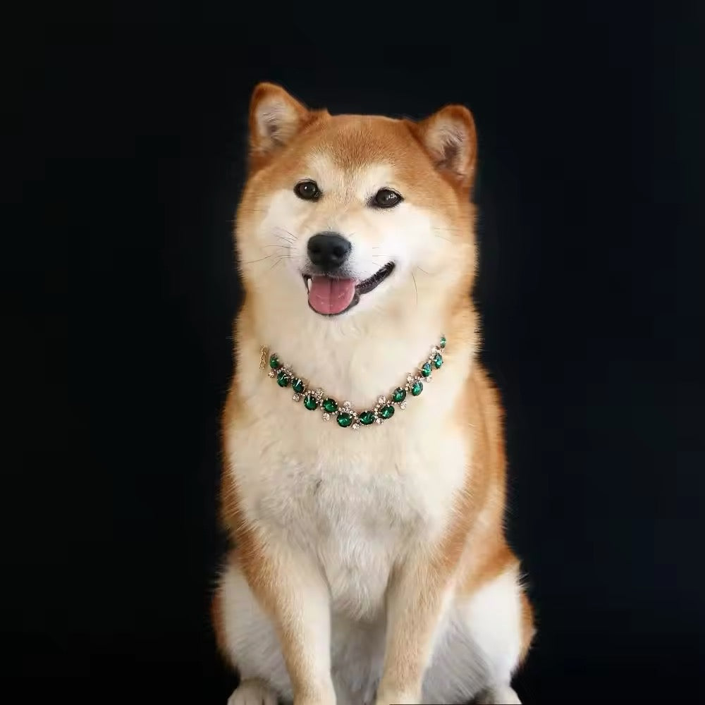 Collier pour chien émeraude – Collier de luxe en strass pour animaux de compagnie
