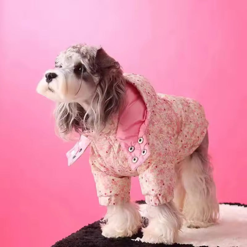 Veste de printemps