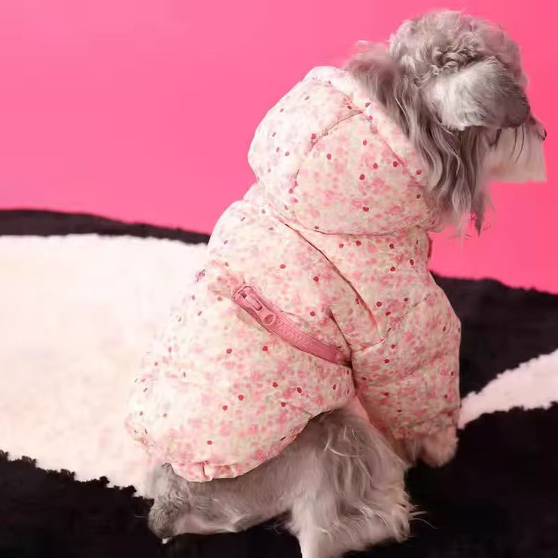 Veste de printemps