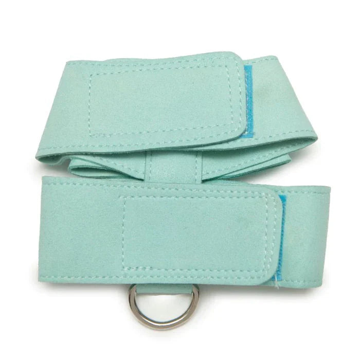 Ensemble Harnais et Laisse pour Chien avec Strass