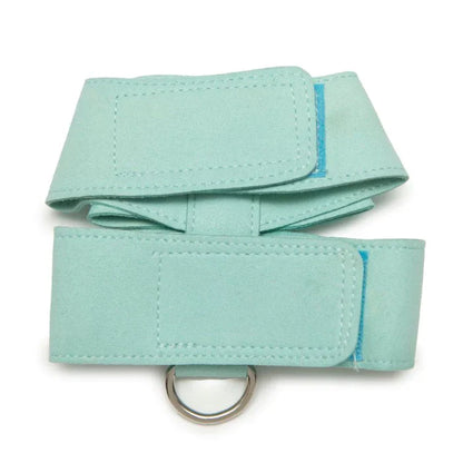 Ensemble Harnais et Laisse pour Chien avec Strass