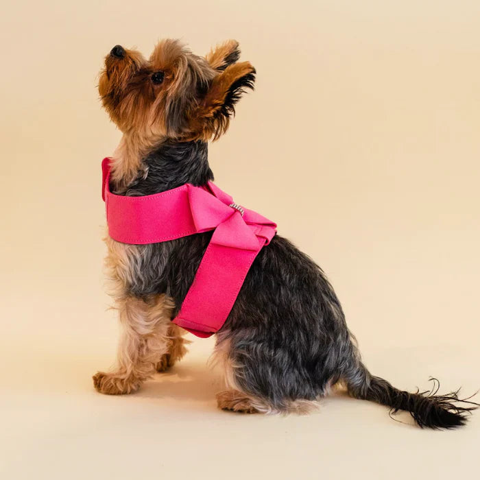Ensemble harnais et laisse pour chien rose avec strass