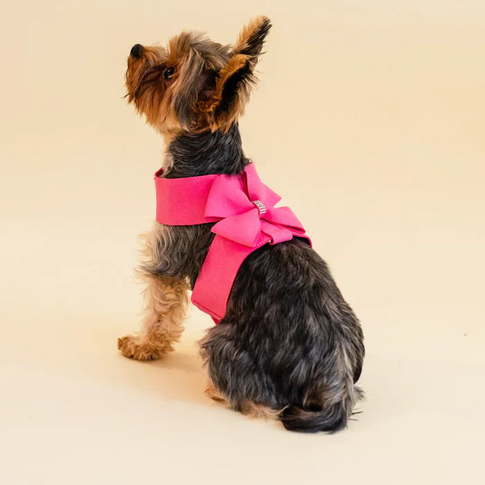 Ensemble harnais et laisse pour chien rose avec strass