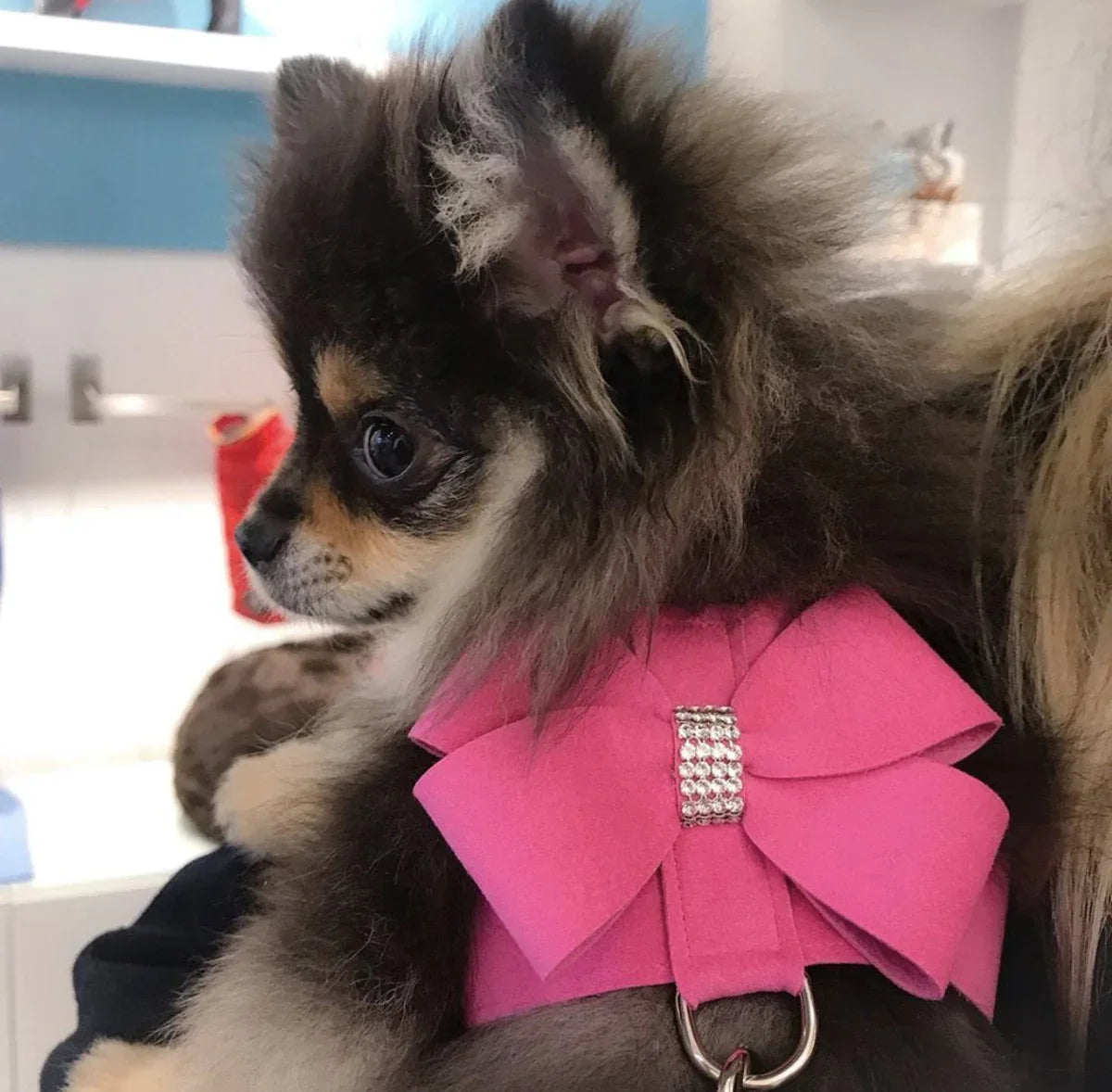 Ensemble harnais et laisse pour chien rose avec strass