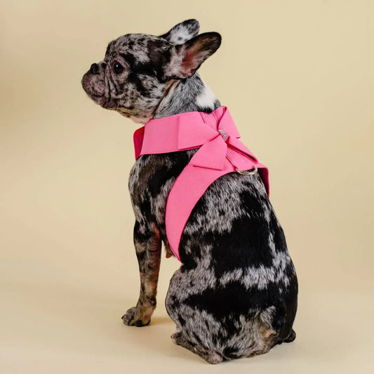 Ensemble harnais et laisse pour chien rose avec strass