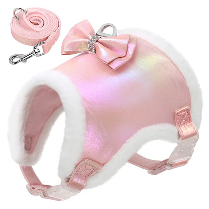 Waterproof Bow Dog Harness & Leash Set