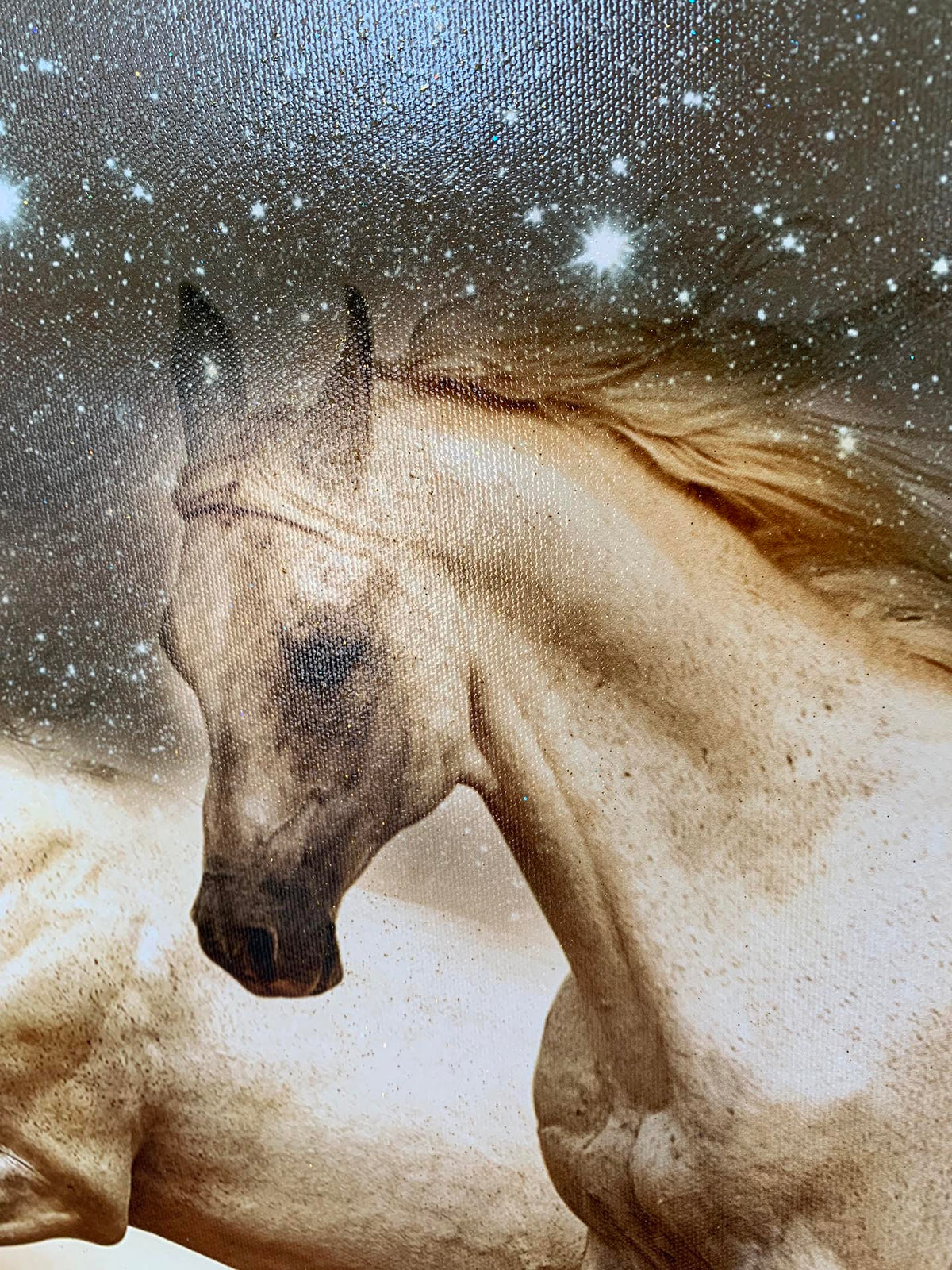 Genèse d'une Licorne Toile Cheval-Art Animalier-Vernis RVB