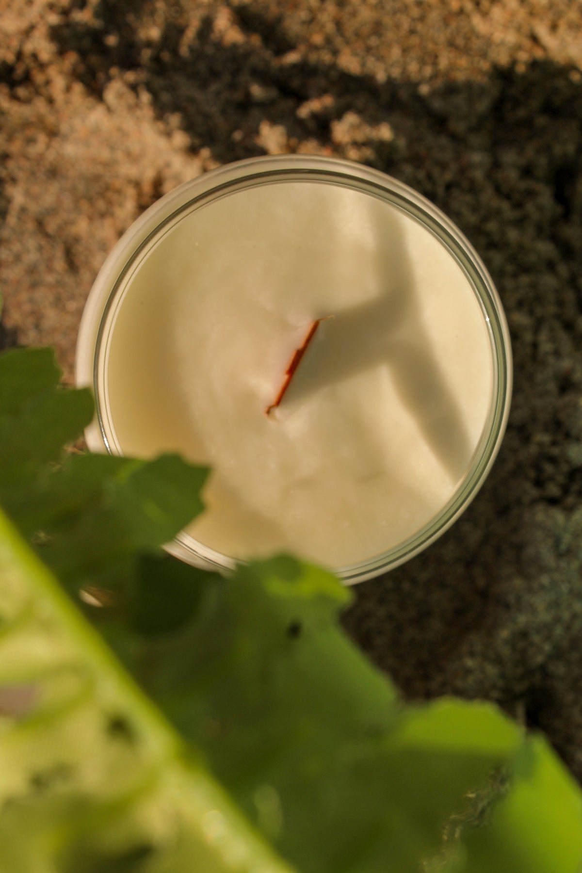 Soy Candle 16 oz - Summer Crush