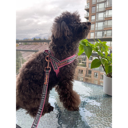 Harnais pour chien à clipser rose pied-de-poule Princesse