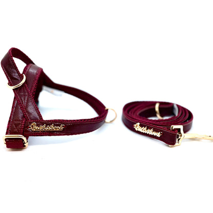 Harnais pour chien à clipser — Vin rouge