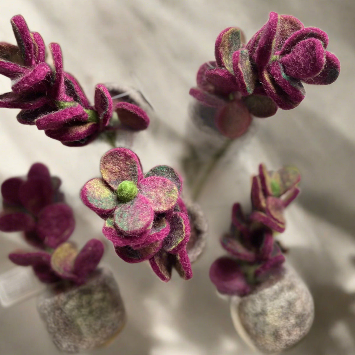 Plante violette en feutre