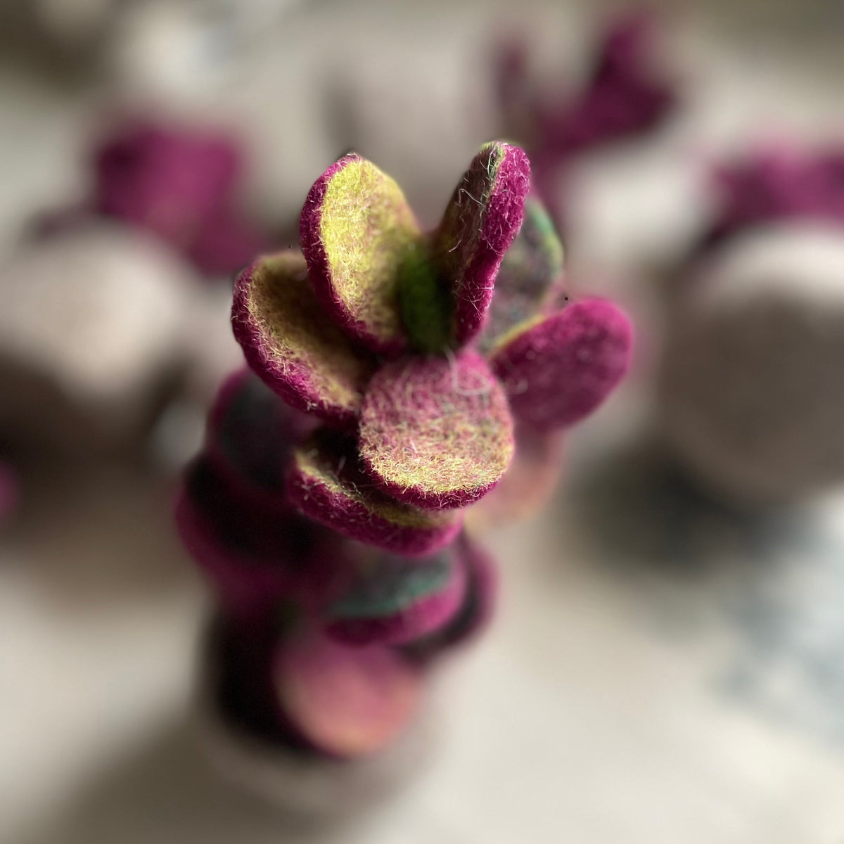 Plante violette en feutre