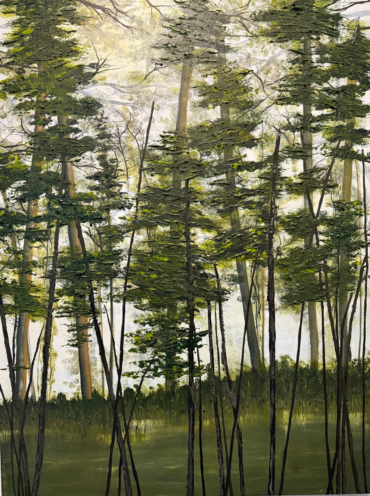 Shady Lake Trail