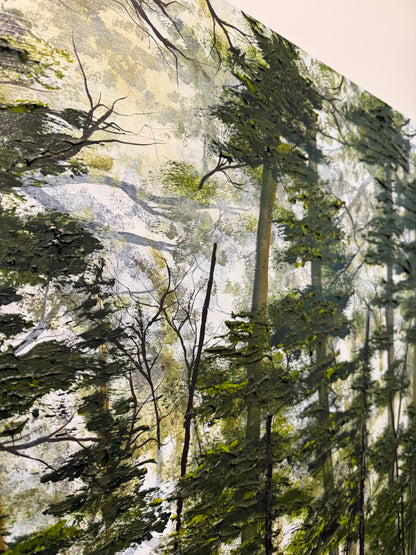 Shady Lake Trail