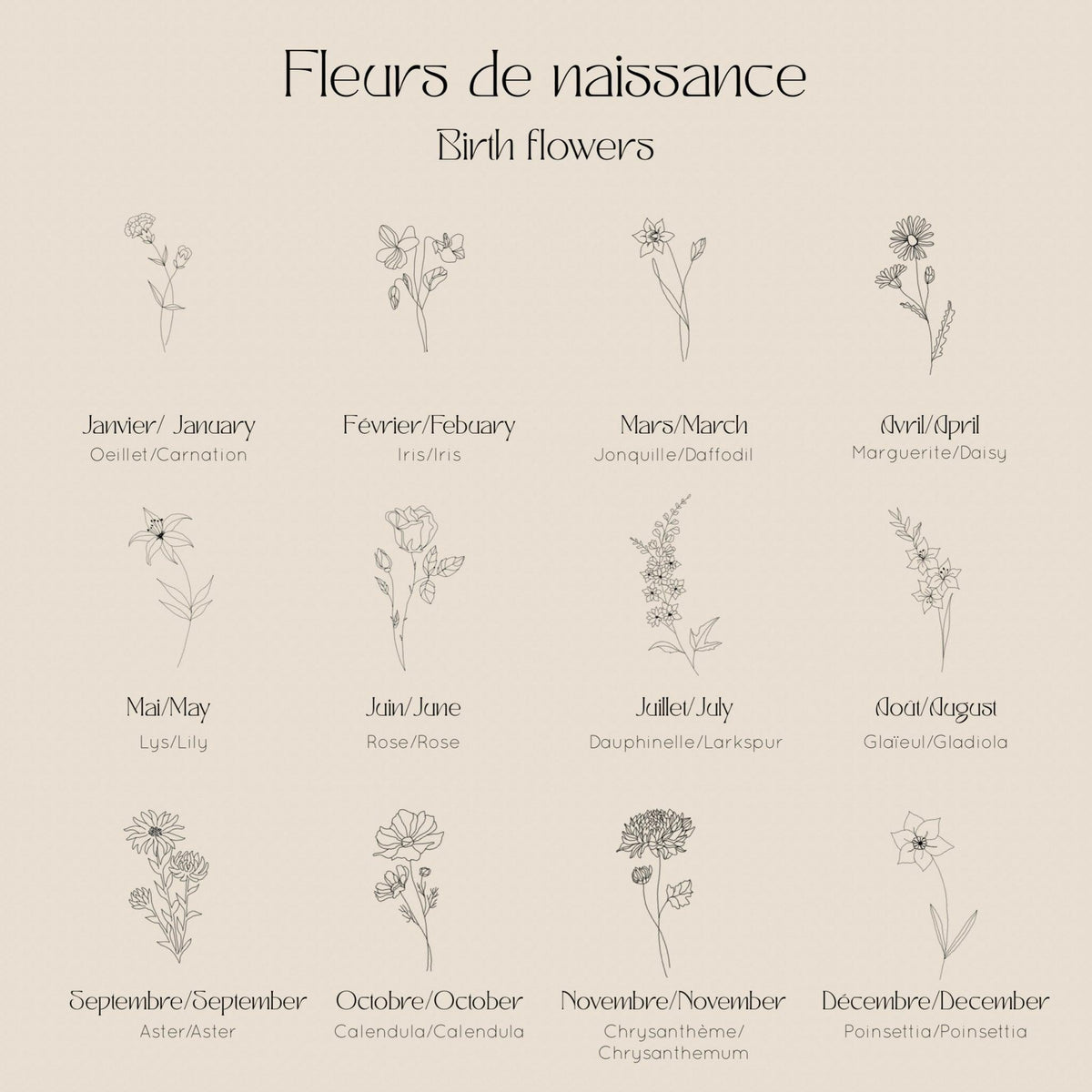 Les Fleurs - Janvier
