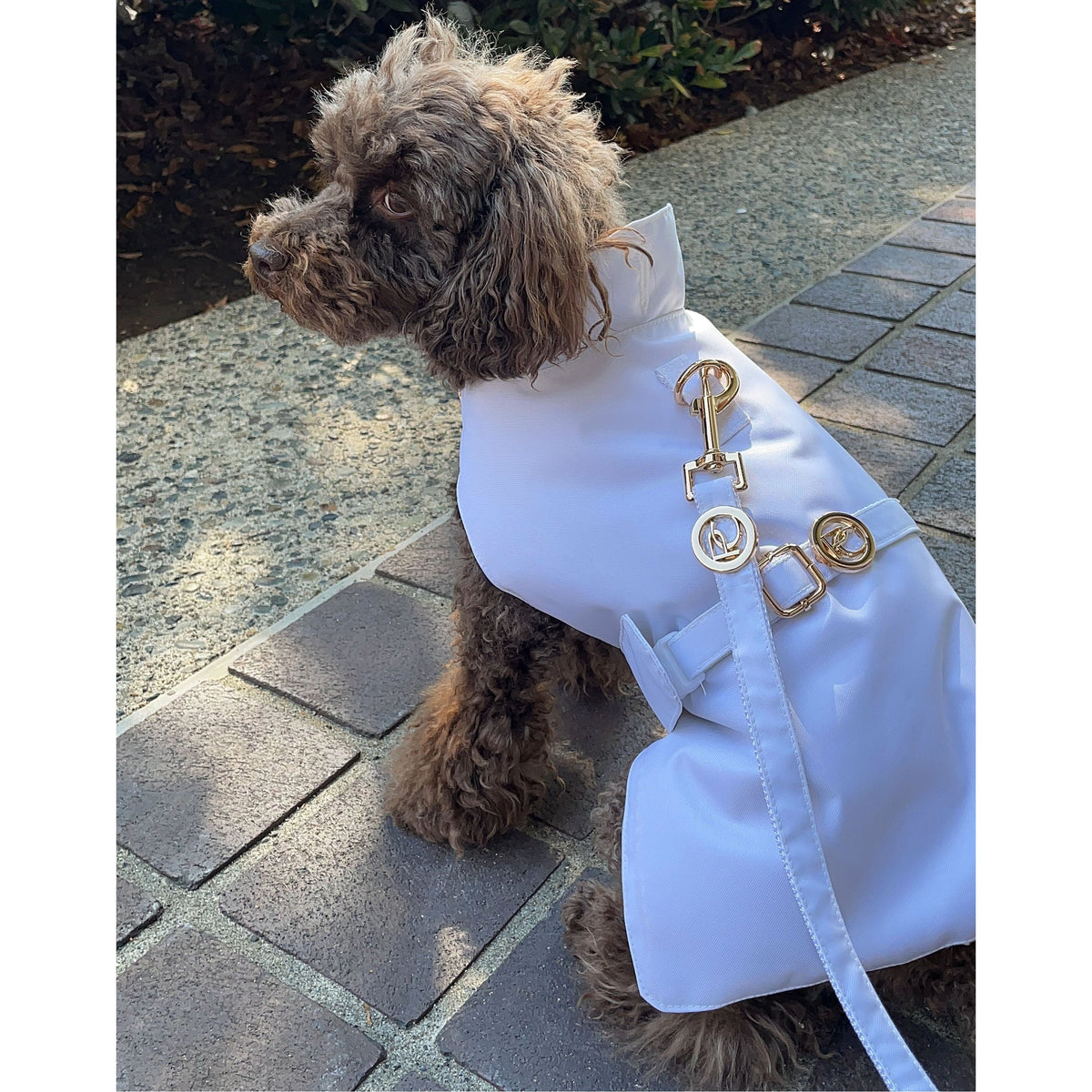 Imperméable blanc