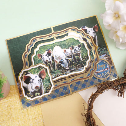 Sur la ferme – Ensemble de toppers de luxe