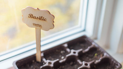 Plant markers for vegetables or herbs