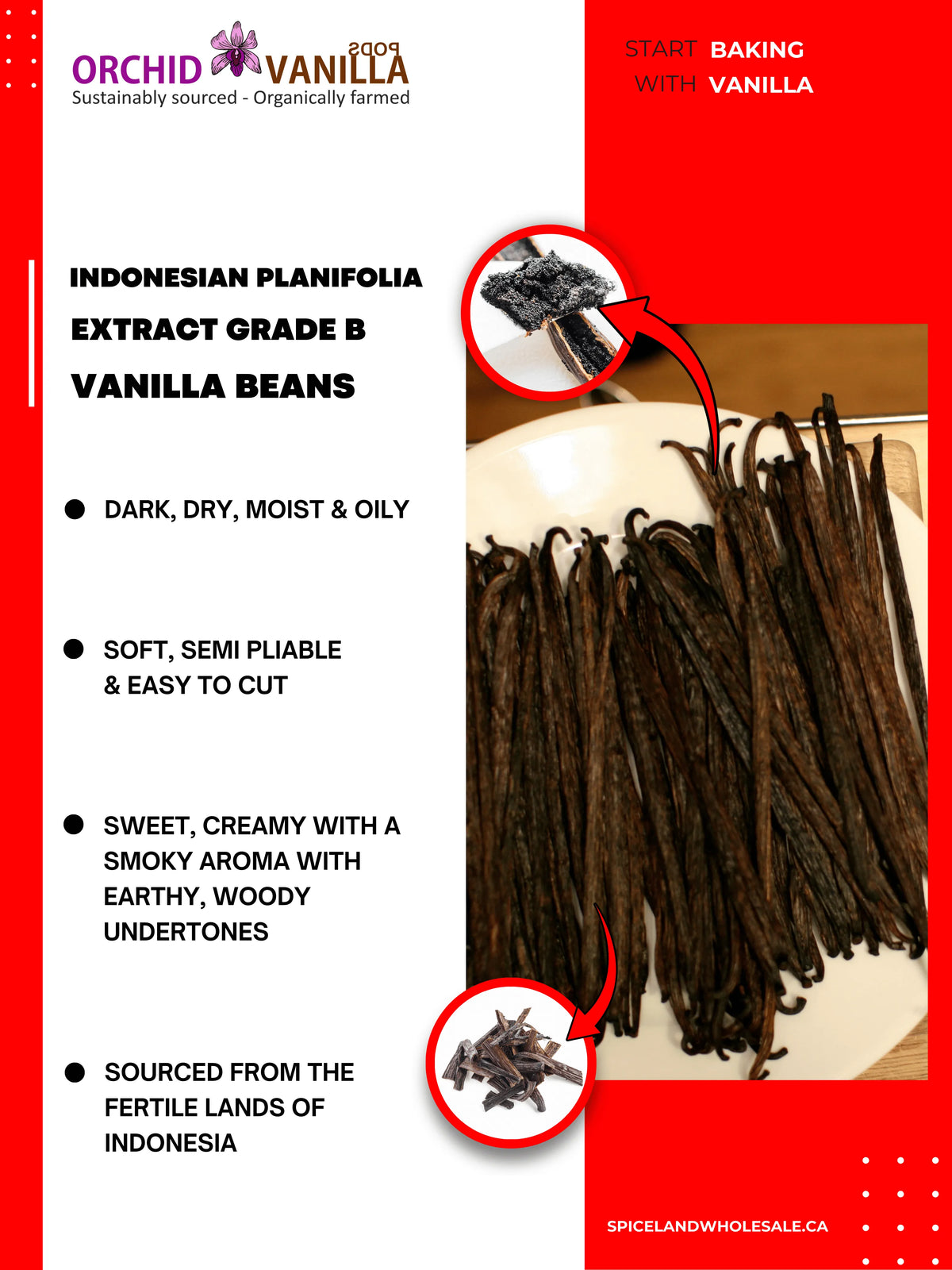 Gousses de vanille indonésiennes (Sumatra) Planifolia Qualité Extrait B<br>Pour la fabrication d'extraits<br>Au kilo
