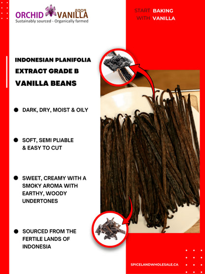 Gousses de vanille indonésiennes (Sumatra) Planifolia Qualité Extrait B<br>Pour la fabrication d'extraits<br>Au kilo