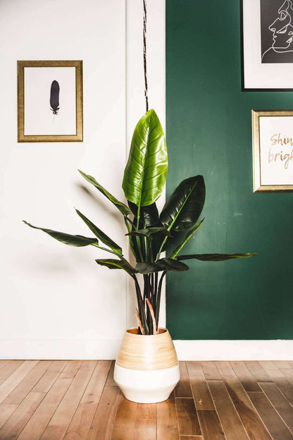 Javi Plante Artificielle en Pot avec Feuilles de Spathiphyllum 130 cm